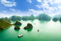 Hướng dẫn đặt hàng